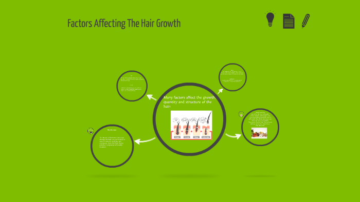 Factors That Affect Hair Growth Level 2 Beauty Therapy By Julie Boardman