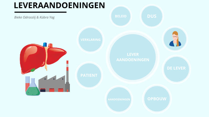 LEVERAANDOENINGEN by Kübra Yag on Prezi