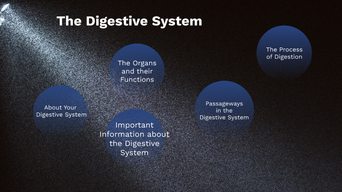 The Digestive System by Kyler Ybarra on Prezi