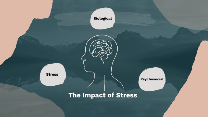 The Impact of Stress by Jasmin Peacock on Prezi