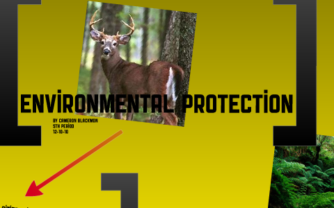 Environmental Protection by cameron blackmon on Prezi