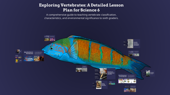 Exploring Vertebrates: A Detailed Lesson Plan for Science 6 by ...