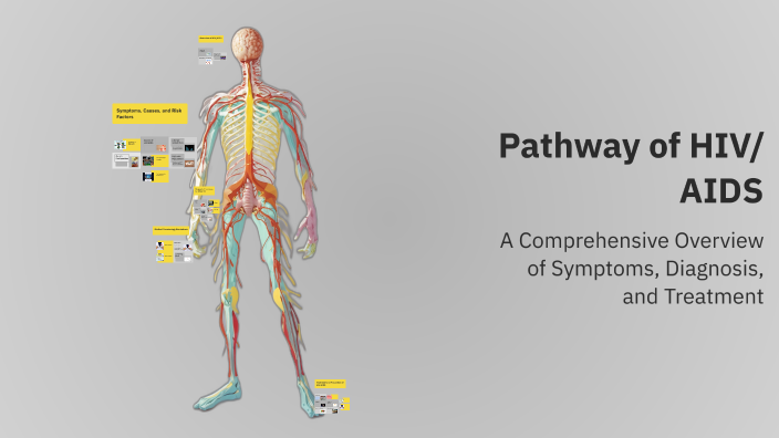 Pathway of HIV/AIDS by Lili Vera on Prezi