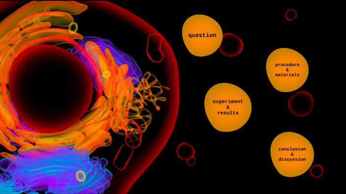 Estructura Biológica Y Funcional Del Ser Humano By Juliana Perez On Prezi