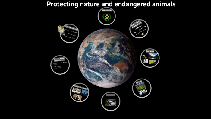 Protecting nature and endangered animals by Cansu Güler on Prezi