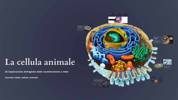 La cellula animale by leonardo rope on Prezi