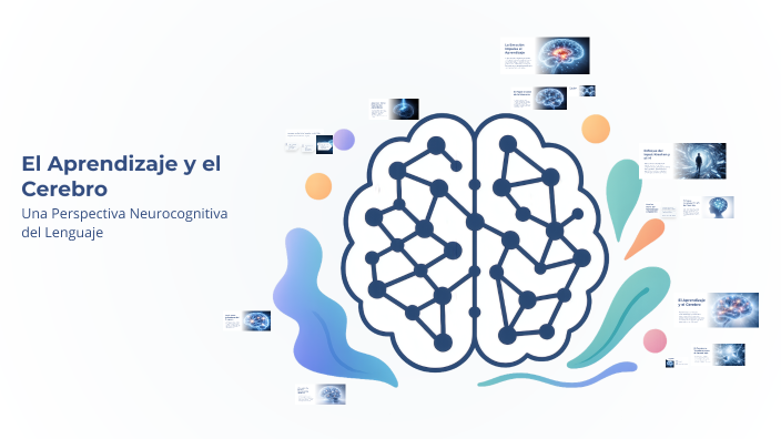 El Aprendizaje y el Cerebro by Rocio Mamani on Prezi