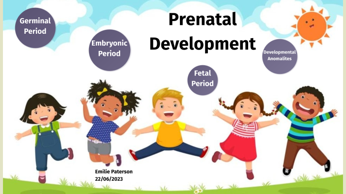 Prenatal Development By Emilie Paterson On Prezi