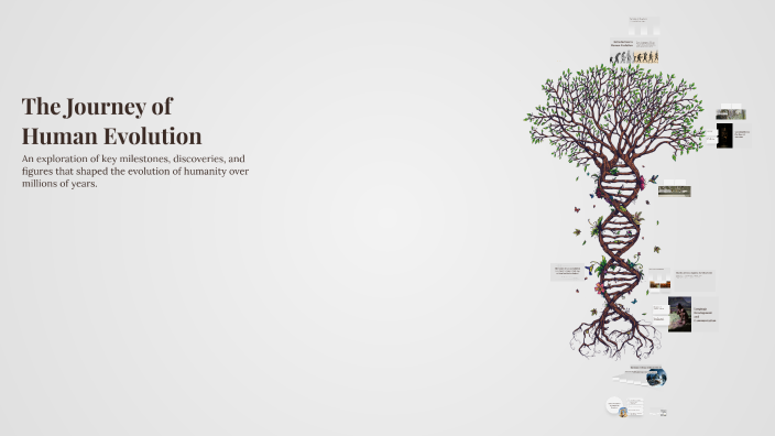 The Journey of Human Evolution by camila bravo diz marin on Prezi