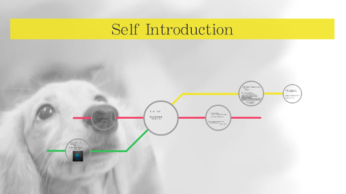Self Introduction by ラン 清 on Prezi