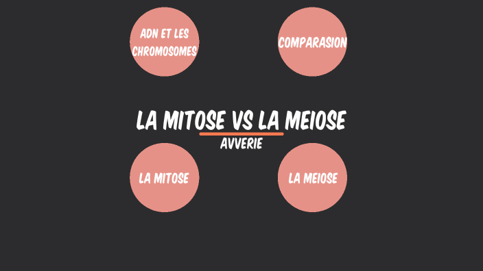 Mitose vs Meiose by Connie Bruns on Prezi