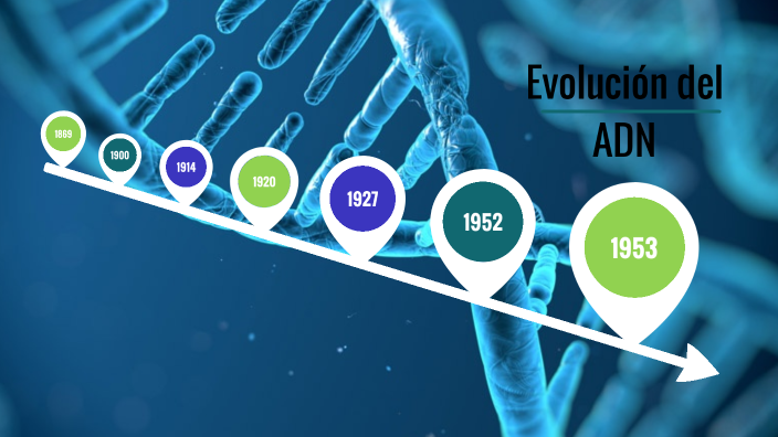 Evolución del ADN by julieta mendez on Prezi