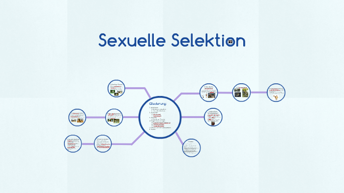Sexuelle Selektion by Michelle Lehmann on Prezi