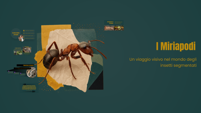 Esplorando i Miriapodi by Chiara Uccheddu on Prezi