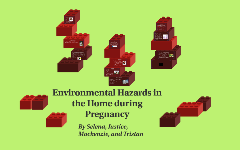 Environmental hazards in the Home by selena caines