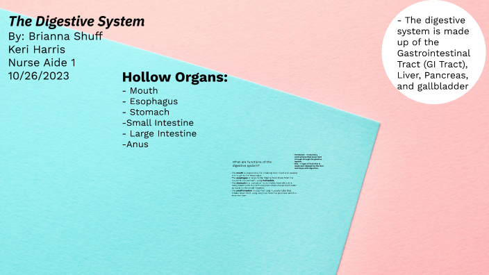 The Digestive System by Keri Harris on Prezi