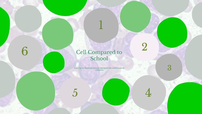 Cell Compared to School by Mohamad Saad on Prezi