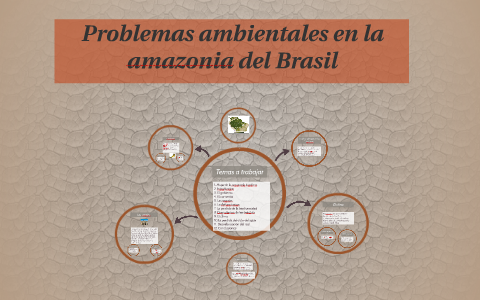 Problemas ambientales en la amazonia del Brasil by Thommy Moreno on Prezi