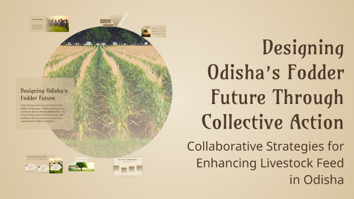 Through Fodder Designing Odisha’s Fodder Future Through Collective Action by Bimal ...