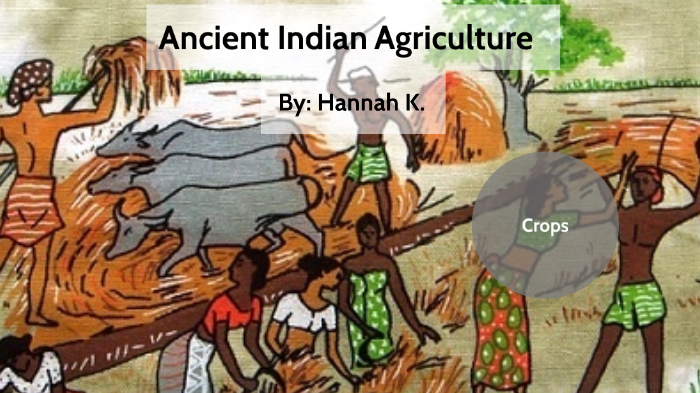 Ancient Indian Farming by Hannah Kulmer on Prezi