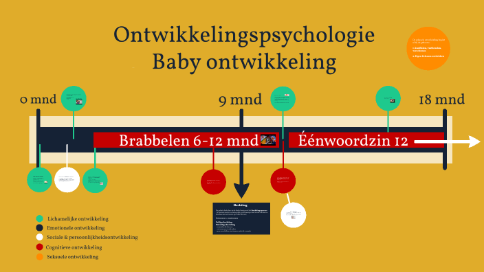 Ontwikkelingspsychologie tijdlijn baby ontwikkeling by Lore Tack on Prezi