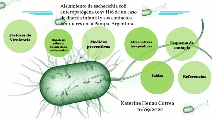 ESCHERICHIA COLI ENTEROPATOGENA by Katerine henao Correa on Prezi