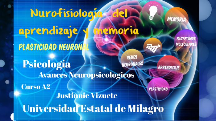 Neurofisiología del aprendizaje y memoria by Justinnie Vizuete Valverde ...