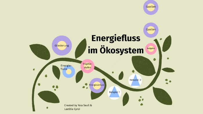 Energiefluss In Einem ökosystem Energiefluss by Laetitia Cyrol on Prezi