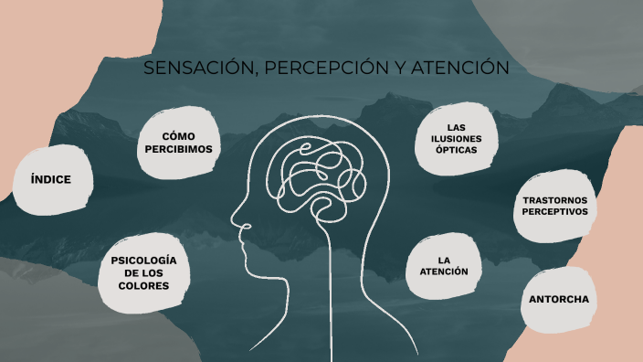 Sensación, Percepción Y Atención By MIGUEL VARELA GARCÍA On Prezi