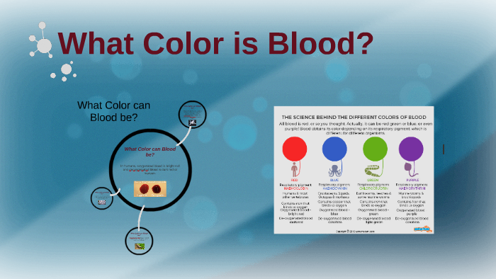 What Color Is Blood? By Nicole Davis