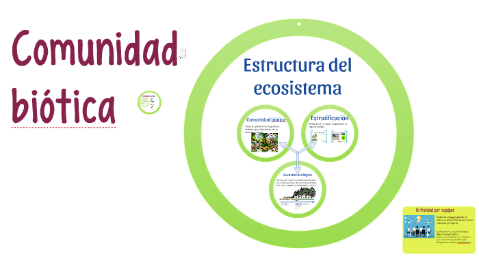 Comunidad Biótica By Angelica Huerta On Prezi