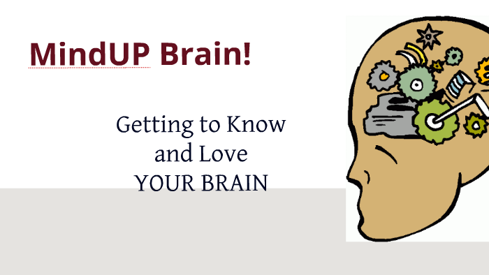 mindup brain poster
