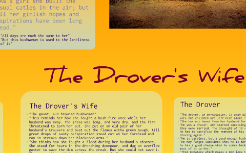 the drovers wife themes