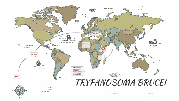 tratamiento de tripanosoma gambiense
