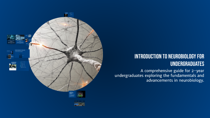 Introduction to Neurobiology for Undergraduates by Bing Xu on Prezi