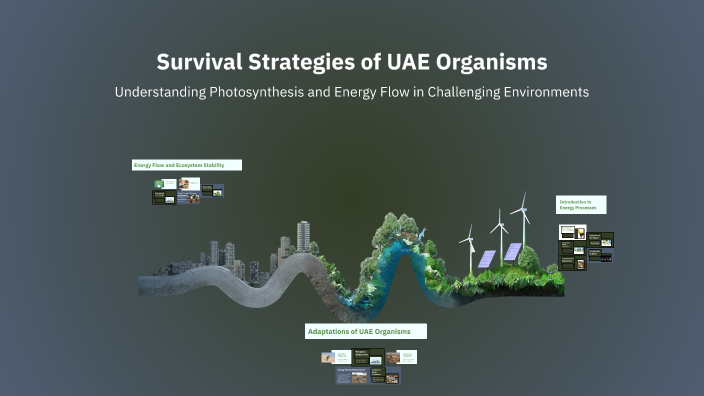 Survival Strategies of UAE Organisms by ahmed shatnawi on Prezi