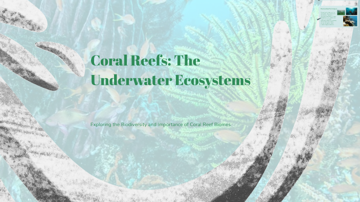 Coral Reefs: The Underwater Ecosystems by chelsea fry on Prezi