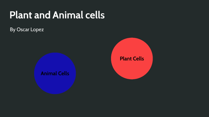 Plant and Animal cells by Oscar Lopez on Prezi
