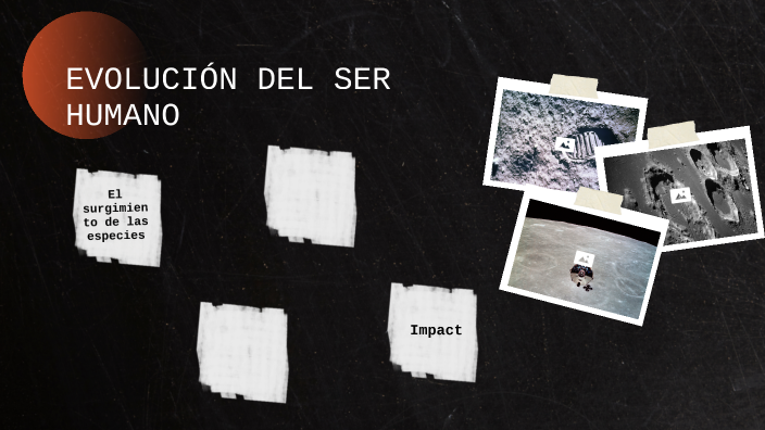 Evolución Del Ser Humano By Linda Diaz On Prezi Evolución Del Ser Humano By Linda Diaz On Prezi