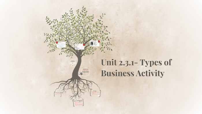 Unit 2 3 1 Types Of Business Activity By Claudia Manser