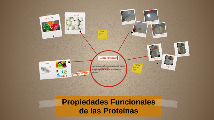 Propiedades Funcionales De Las Proteínas By Dayanara Ochoa 7068