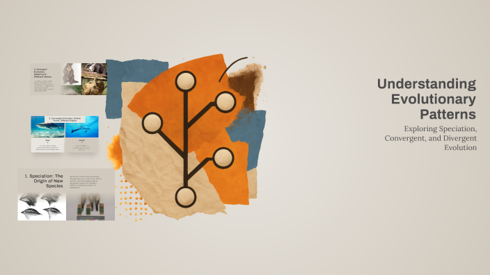 Evolution Patterns Understanding Evolutionary Patterns by Dante Fitch on Prezi