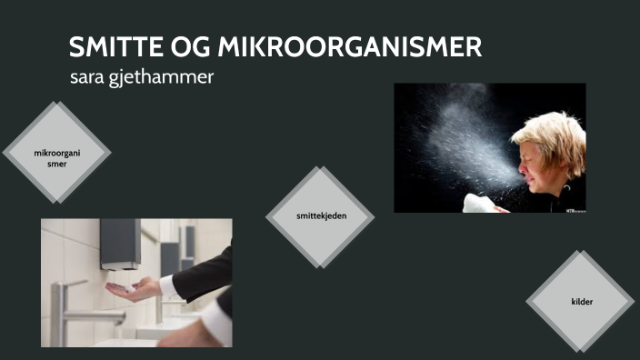 smitte og mikroorganismer by sara gjethammer on Prezi