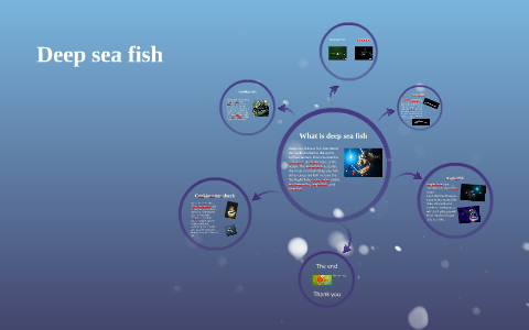 Deep sea fish by Dulcelina Lopes on Prezi
