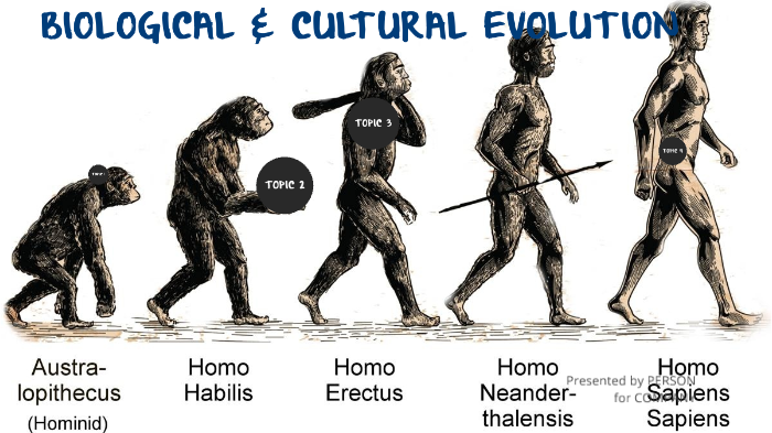 essay about biological and cultural evolution of modern humans
