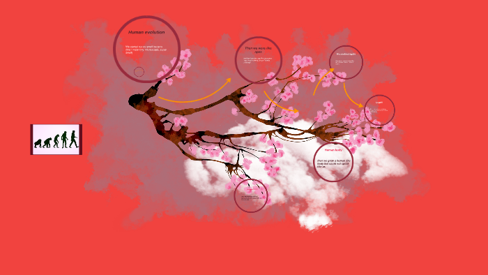 Human evolution by Joshua Martin on Prezi