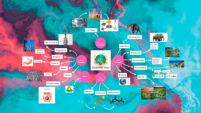 Entorno Vivo Mapa Mental by NICOLAS RUEDA LIEVANO on Prezi