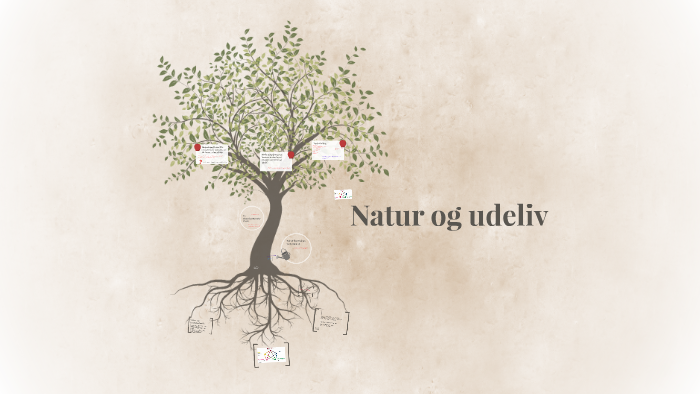 Udeliv Og Natur By Mie Christiansen On Prezi