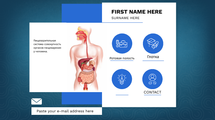 пишеварительная система by нурсулу нурсулу on Prezi