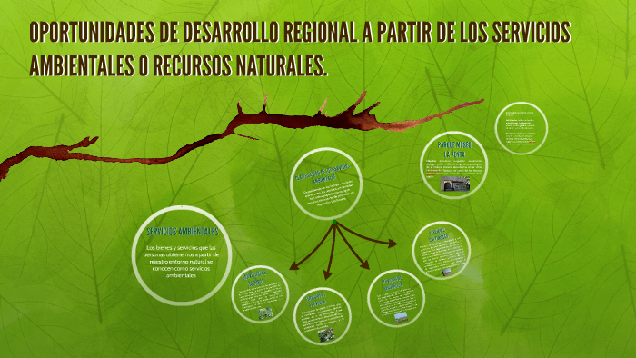 OPORTUNIDADES DE DESARROLLO REGIONAL A PARTIR DE LOS SERVICI by Lázaro